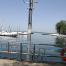 IMG_6923.JPG