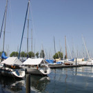 IMG_6925.JPG