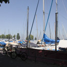 IMG_6927.JPG