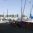 IMG_6928.JPG