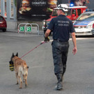 AFP_1HV7BY.jpg