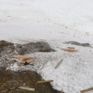 Totalph__tte VI - Alpenverein Vorarlberg.jpg