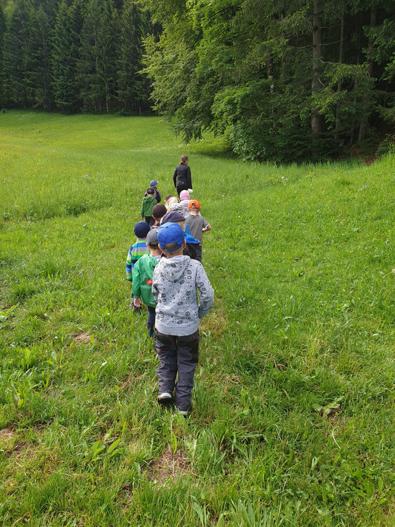 Waldwoche Juni 2019 _2_.jpg