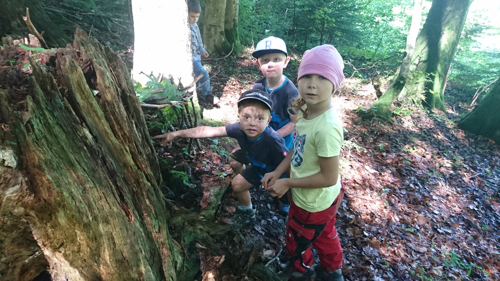 Waldwoche Juni 2019 _31_.JPG