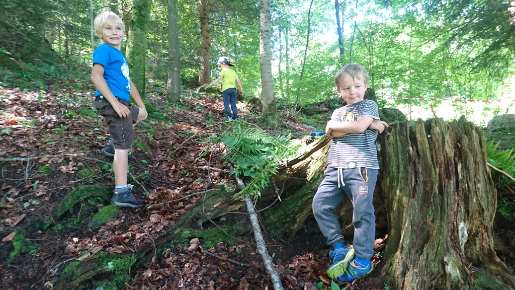 Waldwoche Juni 2019 _32_.JPG