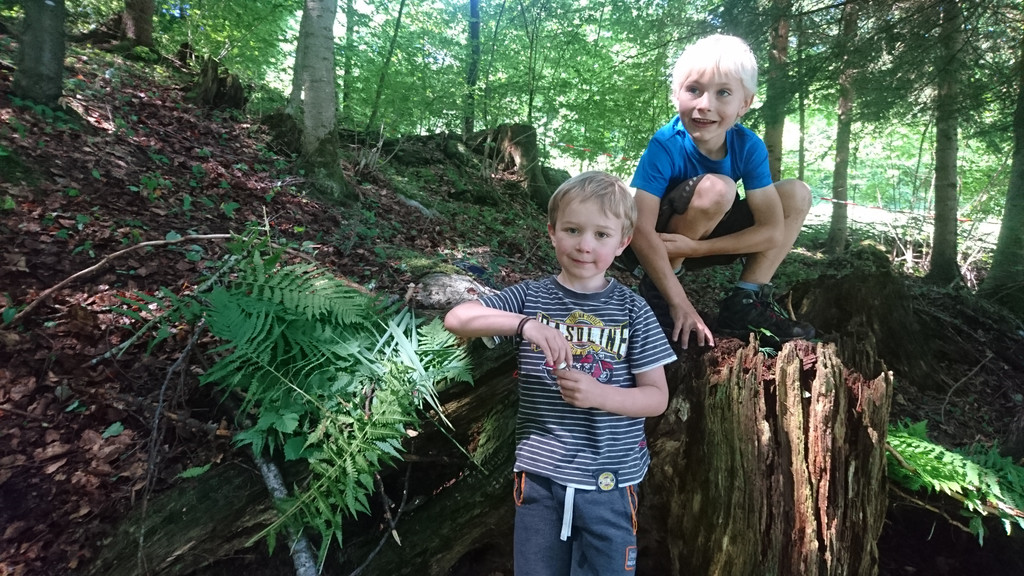 Waldwoche Juni 2019 _34_.JPG