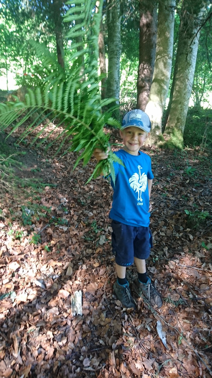 Waldwoche Juni 2019 _47_.JPG