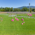 3005_Gymnaestrada_Generalprobe__Fototeam Digital 2019.jpg