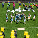 3010_Gymnaestrada_Generalprobe__Fototeam Digital 2019.jpg