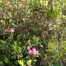 IMG-20190627-WA0019.jpg