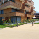 DSCI1932.JPG