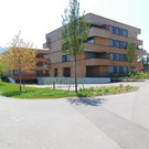 DSCI1935.JPG