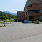 DSCI1937.JPG