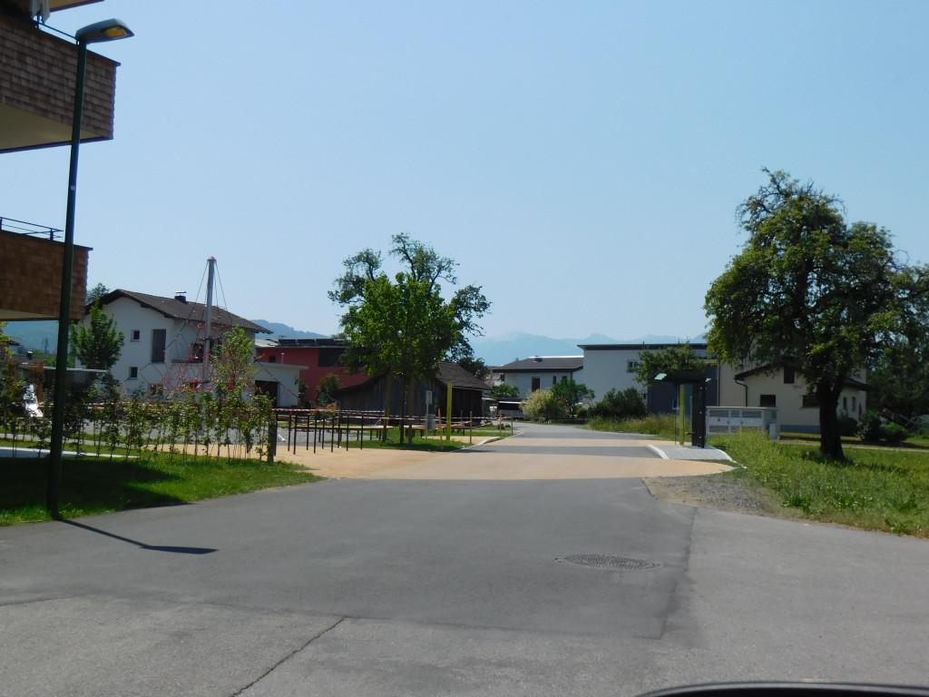 DSCI1942.JPG