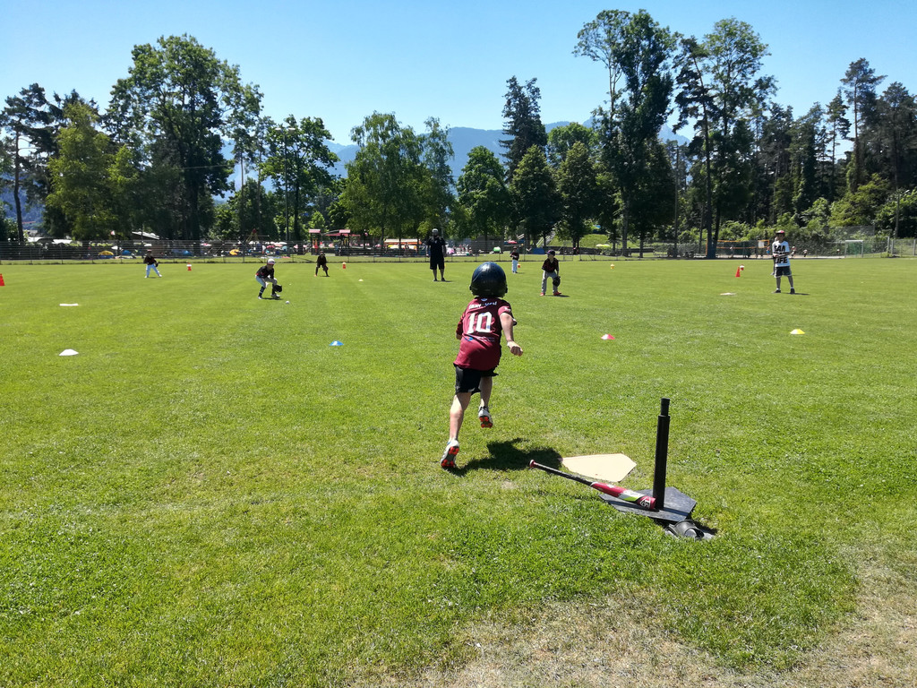 IMG_20190629_120931.jpg