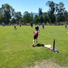 IMG_20190629_120931.jpg
