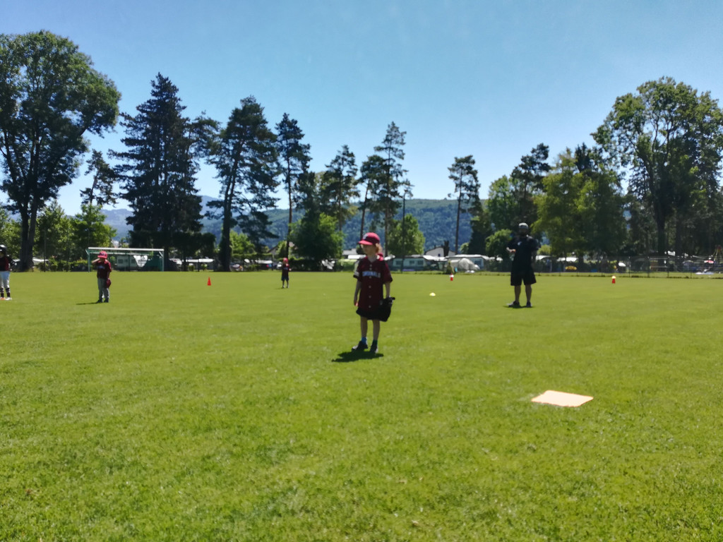 IMG_20190629_120244.jpg