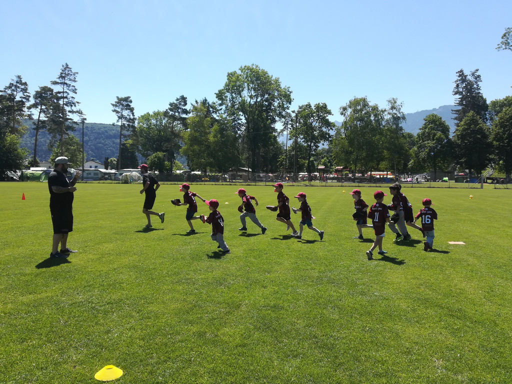 IMG_20190629_115823.jpg