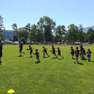 IMG_20190629_115823.jpg