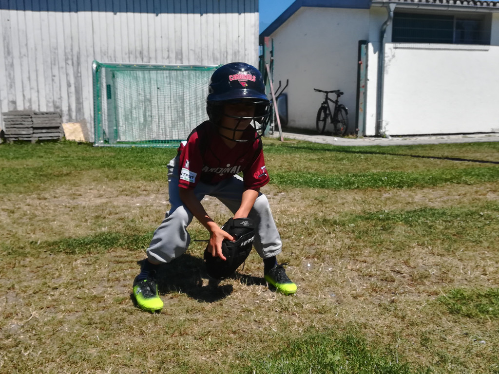 IMG_20190629_120053.jpg
