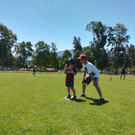 IMG_20190629_121320.jpg