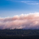 Waldbrand in Deutschland