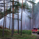 AFP_1I41P1.jpg