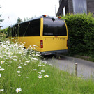 IMG_7979.JPG