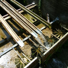 DSCN3029.JPG