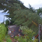 ABD0005-20190702.jpg