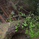 ABD0008-20190702.jpg