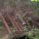 ABD0009-20190702.jpg