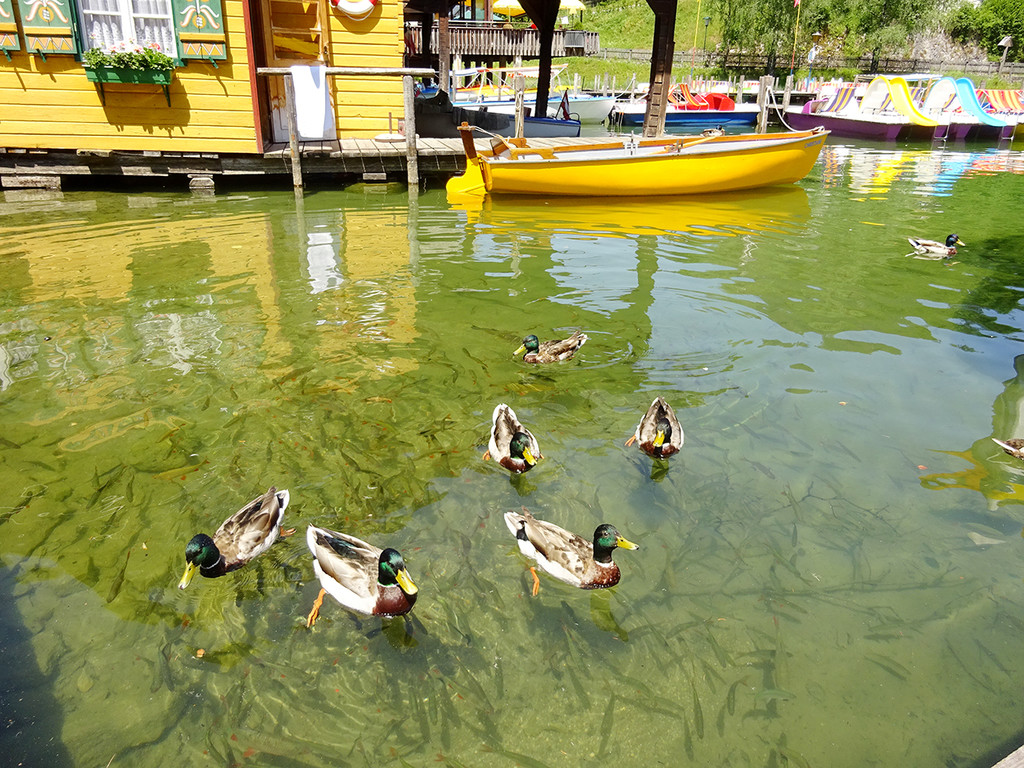 25_ Mariazell 2019.JPG