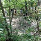 ABD0057-20190701.jpg