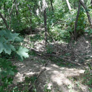 ABD0058-20190701.jpg