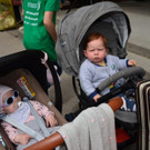 D__rflefest Wald a_ A_ 2019 _83_.jpg