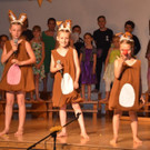 Musical Sternenzauber _23_.jpg
