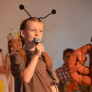 Musical Sternenzauber _72_.jpg