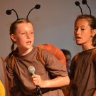 Musical Sternenzauber _81_.jpg