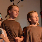 Musical Sternenzauber _222_.jpg