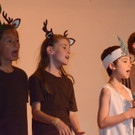Musical Sternenzauber _223_.jpg