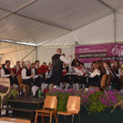 Weinfest Stallehr _204_.jpg