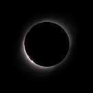 AFP_1I923U.jpg