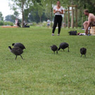 IMG_0330.JPG
