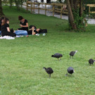 IMG_0335.JPG