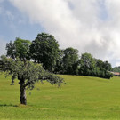 IMG_20190702_092107 _Large_ _3_.jpg