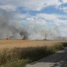 Flurbrand in NÖ: Feuerwehreinsatz
