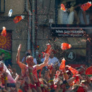 AFP_1IE16Q.jpg