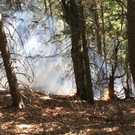 ABD0005-20190707.jpg