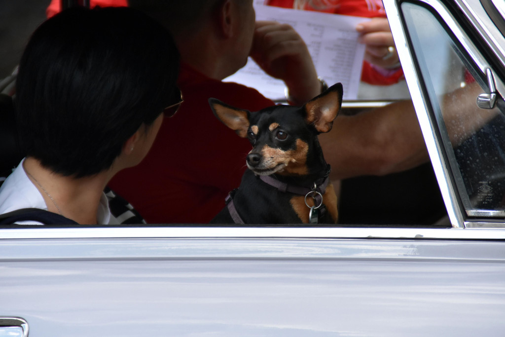 DSC_0069.JPG